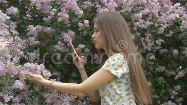 一个漂亮的女孩正在给一棵丁香树拍照。 欣赏美丽的花朵。