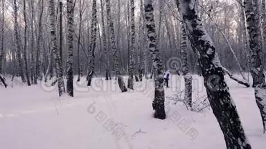 女<strong>滑雪</strong>者在白桦林中穿过森林。 俄罗斯<strong>的</strong>冬天。 自然。