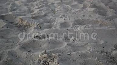 脚在沙子里