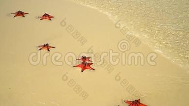 两个视频镜头。 摄像机慢慢地沿着海岸飞行。 白沙上大量红星.. 白色的海滩