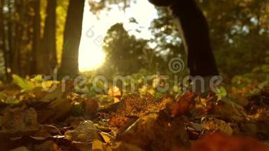 在阳光充足的森林里，落在秋天落叶上的注意力不集中的女孩。 阳光灿烂。 超级慢动作背景射击