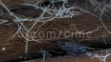 木屋天花板<strong>上</strong>的<strong>一张</strong>网。 有蜘蛛网和蜘蛛的旧谷仓。