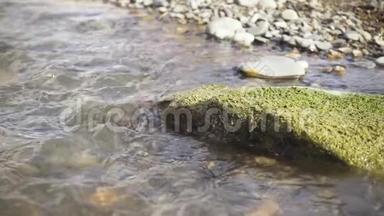 一块长满苔藓的大石头躺在水中慢动作