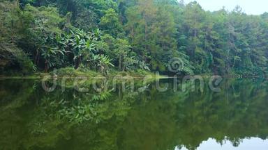 泰南高原高原湖泊平静的海水中，有棕榈树的山地针叶热带森林