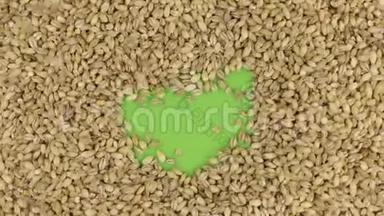 珍珠大麦颗粒落在旋转的绿色屏幕上，填满一个完整的珍珠大麦背景。