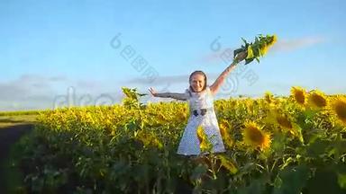开朗的女孩捧着黄花葵，青春的女孩在向日葵的田野里