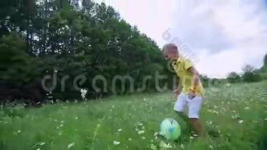 在一片甘菊草地上，靠近一片森林，一个男孩，一个孩子，玩球，扔球，追着他跑。 他玩得很<strong>开心</strong>。 夏<strong>季</strong>