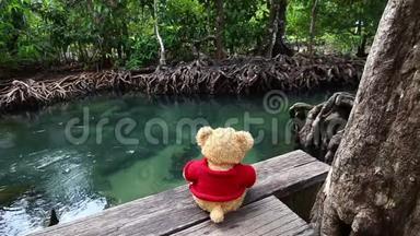 泰迪熊坐在天然运河附近的一座桥上。 <strong>清澈</strong>的绿色<strong>溪流</strong>流经红树林根。