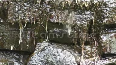 温暖的池塘水滴在岩石上