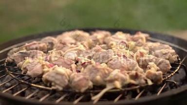烧烤会在后院的烤架上举行. 夏日野餐。 在热煤上的金属网格上烤肉。 吸烟