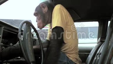 室内镜头猴子启动老式汽车