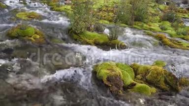山间小溪的石头上长满了绿色的苔藓。清澈纯净的水流在苔藓间流动。4公里
