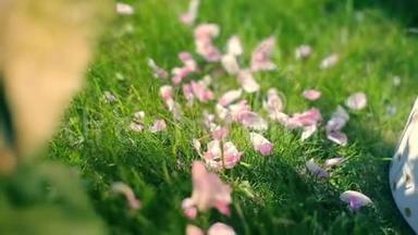 少女在翠绿的鲜草上飞舞着蔷薇花瓣，在外面装饰着喜庆的鲜花