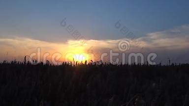 日落有大麦场拍摄时间推移