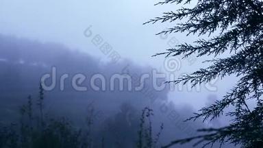 <strong>雾</strong>在清晨的<strong>山</strong>上移动，<strong>雾</strong>在<strong>山</strong>上的树木中移动