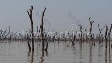 巴林戈湖景观展示了死亡树木的水域<strong>崛起</strong>，肯尼亚，