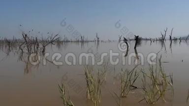 巴林戈湖景<strong>观展</strong>示了枯树的水域崛起，肯尼亚