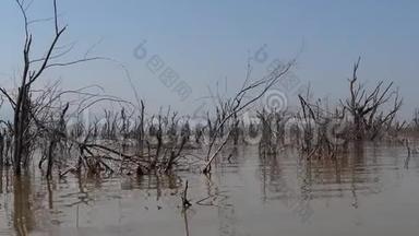 巴林戈湖景观展示了死亡树木的水域<strong>崛起</strong>，肯尼亚，