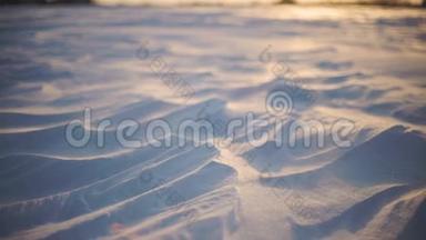 北极风暴。 日落时分的雪暴特写镜头。 风吹雪花，把它们吹过田野