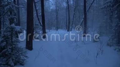 雪夜森林里的暴风雪..