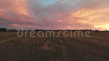 金色的多色日<strong>落在一个</strong>农场的田野和干草捆。 黄昏时分，飞行的无人机飞过一片割草的麦田。 低键4k