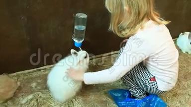 小女孩抚摸着动物园里饮料商给的兔子喝水