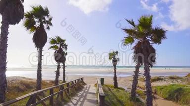 棕榈树的背景是海浪拍打在海面上，西班牙