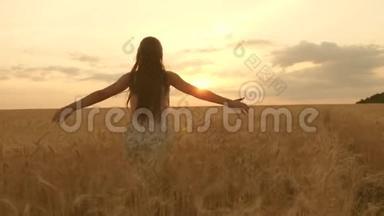 一个快乐的女孩走过一片黄色的麦子，用自己的手触摸麦子的耳朵。 慢动作。 女孩