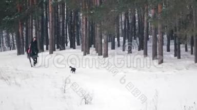 长发女骑手狂野而快速地骑着黑马穿过雪地，狗在附近奔跑。