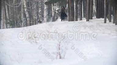 长发女骑手狂野地骑着黑马穿过雪地，狗在附近奔跑。