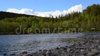 清洁清新的夏季河水在北极圈与绿色森林和雪山峰