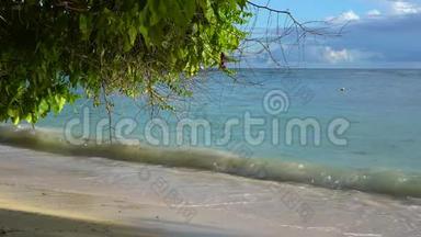 塞舌尔。 普拉斯林岛。 美丽的沙滩，海洋和滚滚的波浪。 奇异的树木沿着
