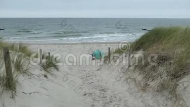 德国格拉-穆尔茨波罗的海海滩上的芦苇。 风穿过芦苇草。