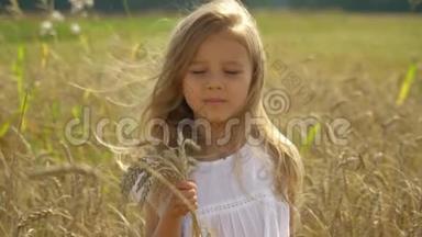 这位漂亮的小女孩手里拿着耳朵在金色的小麦田里<strong>花钱</strong>。 可爱的小女孩在收割小麦