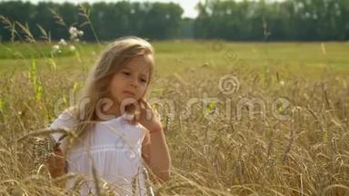 这位漂亮的小女孩手里拿着耳朵在金色的小麦田里<strong>花钱</strong>。 这个金发的小女孩花了很多钱