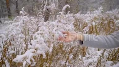 一个冬天的公园里，一个美丽的年轻女子的双手被雪覆盖在树枝上。 慢动作。 时尚时尚