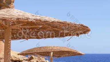 红海上埃及珊瑚滩上的太阳伞。
