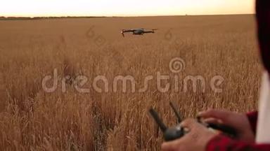 农夫双手握着遥控器，四架直升机在后台飞行。 无人机在后面徘徊