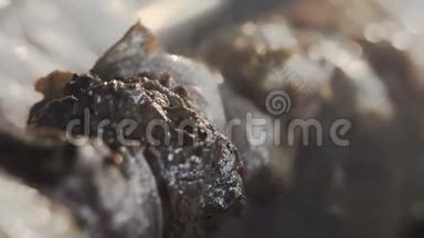 特写镜头。 在金属扦上烤串烹饪。 烤肉时烤熟的肉。 用木炭和火焰烧烤，野餐