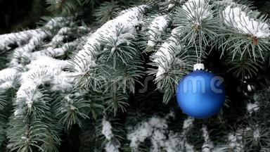 一个蓝色的圣诞球挂在雪下的云杉枝上