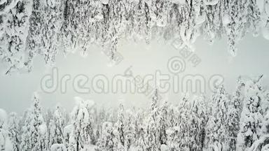 森林在雪中作为两个世界。 屏幕保护程序FINLAND用于字幕。