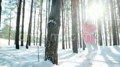 自由、快乐，美丽的女孩在树林里散步，快乐，阳光`阳光透过树的背光，许多雪