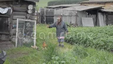 老祖母带着小鸡走着一只只只小鸡
