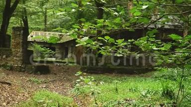 一片神奇的风景，茂密森林中一座古老石屋的废墟。 长满苔藓和山涧的树木