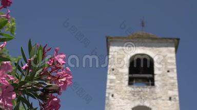 希腊塔索斯神学家教堂塔前的粉红色花朵