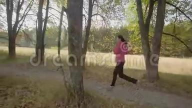 那个女人在树林里奔跑。 狗在女主人附近跑。 这条狗跑向跑着的女主人
