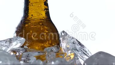 啤酒容量节是冰中的一瓶啤酒。 白色背景。 关门