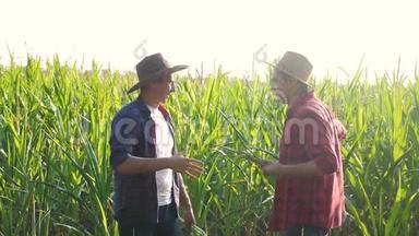 <strong>团队合作</strong>智慧农牧概念慢动作视频.. 两个男人农艺师两个农民胜利握手<strong>团队合作</strong>