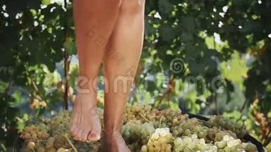 女人的脚在木轴上踩着白葡萄