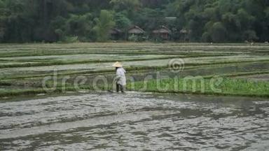 准备种植水稻的田地